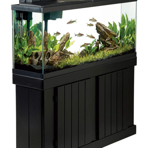 Aquarium Tanks