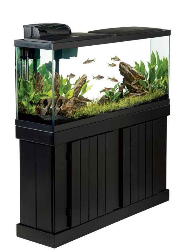 Aquarium Tanks